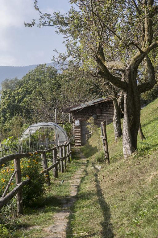 Agriturismo Da Attilio Cannobio Exterior foto